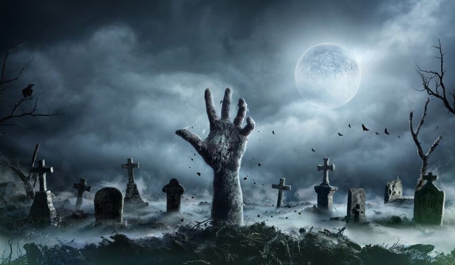 New Orleans: Night Cemetery and Ghost BYOB Bus Tour - The cemetery walk after dark