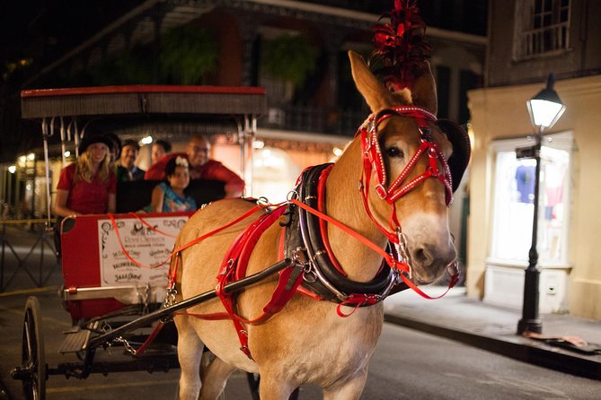 New Orleans Small-Group Haunted History Carriage Tour - The history is darker than the ghost stories