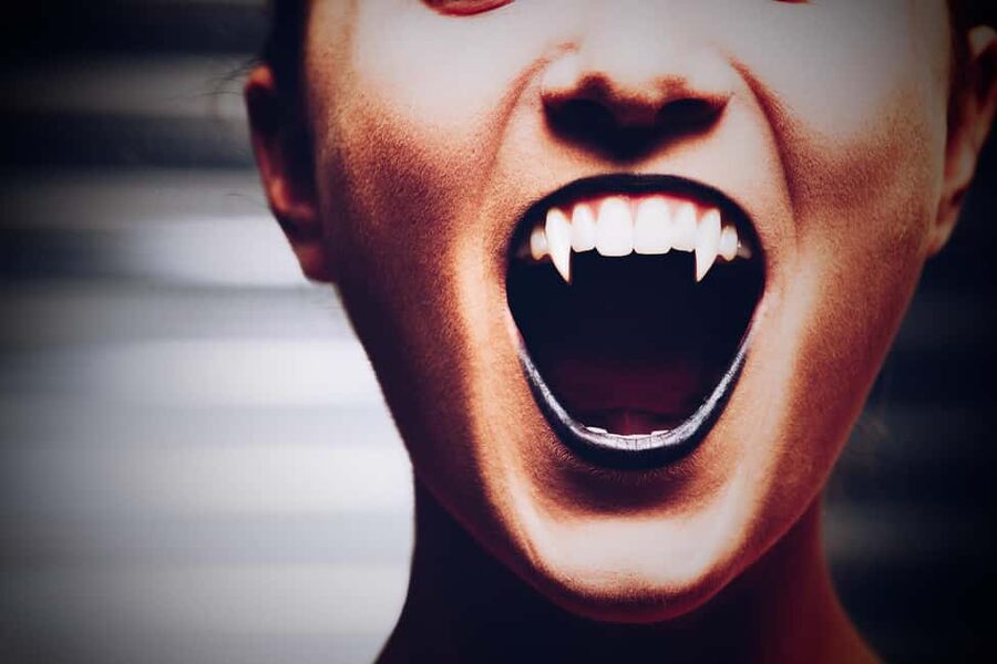New Orleans: Vampires, Voodoo, and Ghosts Tour - Key points to know before you go