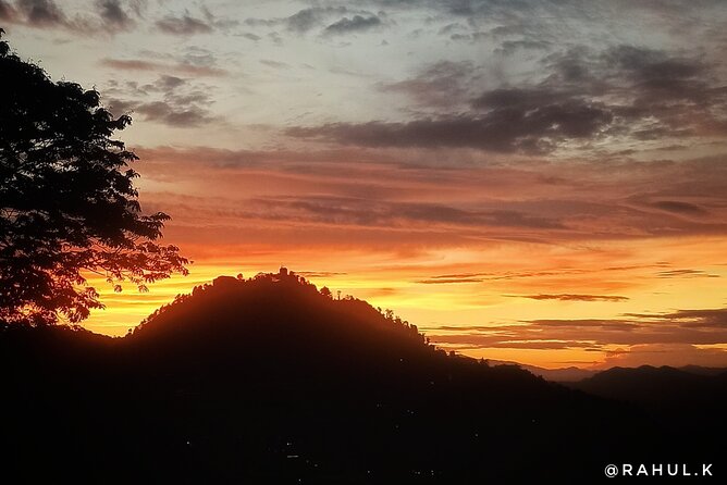 Night Treks & Haunted Walks - Mussoorie - Mussoorie after dark: quiet nature with a spooky edge