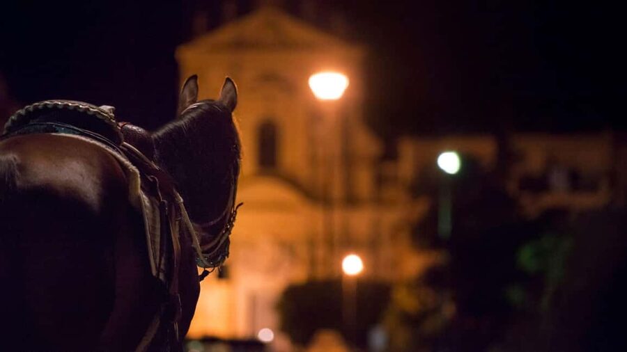 Palermo's Dark Shades: Ghost, Crime and Tasting Walking Tour - Piazza Pretoria and the Fountain of Shame