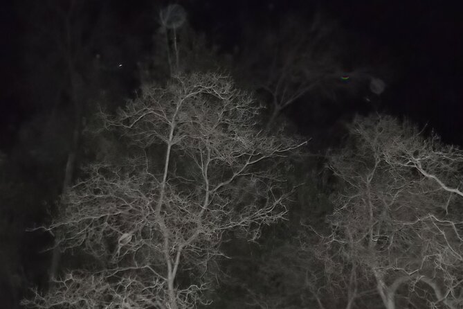Paranormal Investigation History & Ghost Tour Old Town San Diego - Who will enjoy this most