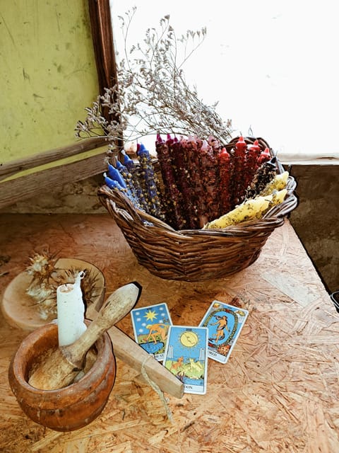 Plants and natural elements for Witchcraft and Tarot - What this Gran Canaria witchcraft workshop is really about