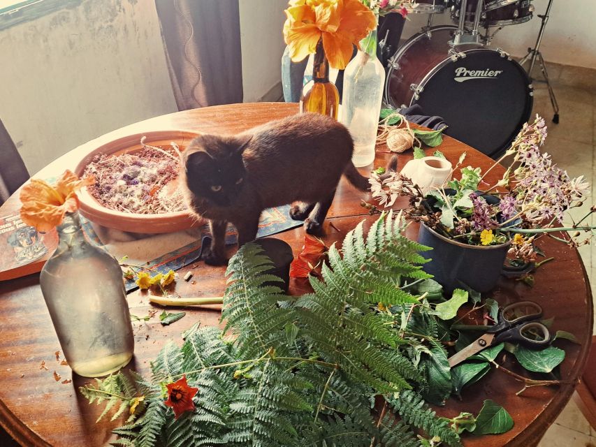 Plants and natural elements for Witchcraft and Tarot - Tarot origins, the Major Arcana, and the final reading