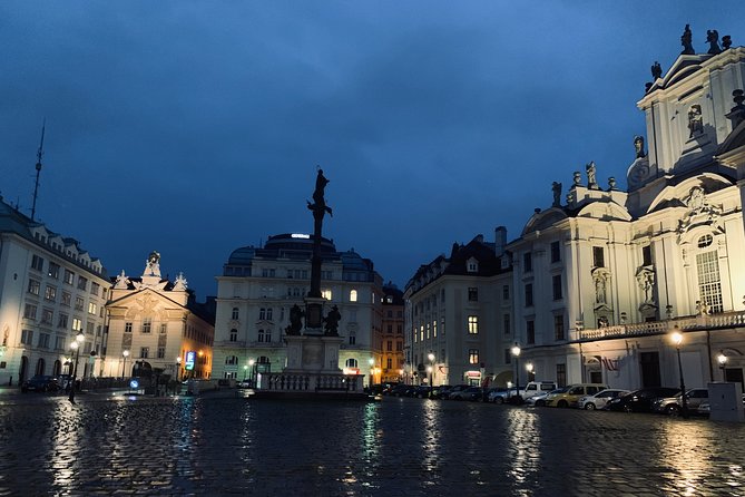 Private Spooky Vienna Ghost Tour - The Plague Column and Vienna’s memories of disease