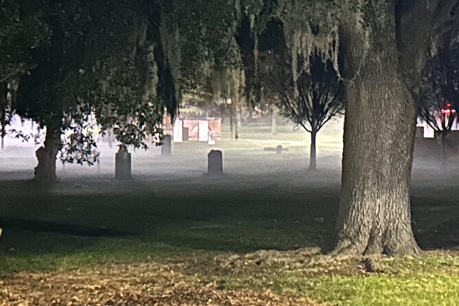 Savannah's Original Dark History Tour - Who should book this walk?