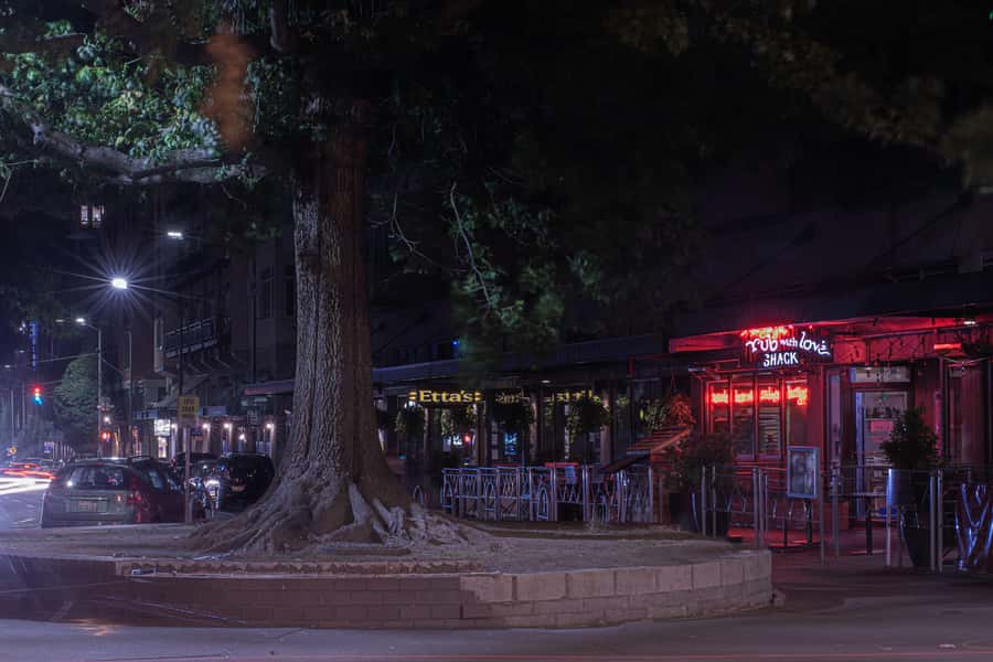 Seattle: Terrors and Ghosts Guided Walking Tour - Why the guides matter so much