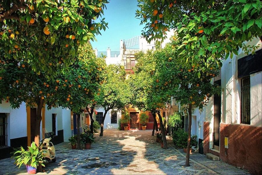 Seville: City of Queens, Nuns, Sex Work & Witches - Maria Luisa Park and the Glorieta de Doña Sol