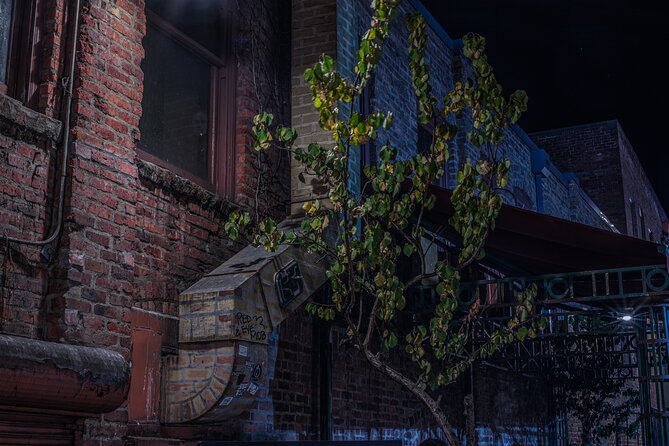Sinister Sins, Scandal, and Shadows: Seattle Ghost Tour - Who will enjoy this ghost walk?