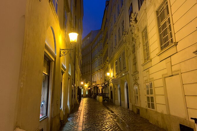 Spooky Vienna Ghost Tour in English - Ending at St. Stephen’s Cathedral and the cursed north tower
