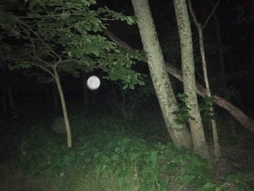 St. Augustine: Devil's Hour Paranormal Investigation Tour - Practical booking advice