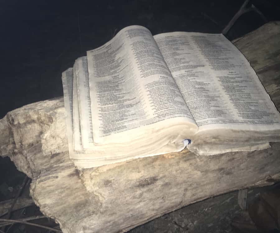 St. Augustine: Evening Paranormal Investigation Tour - How much does $50 per person buy?