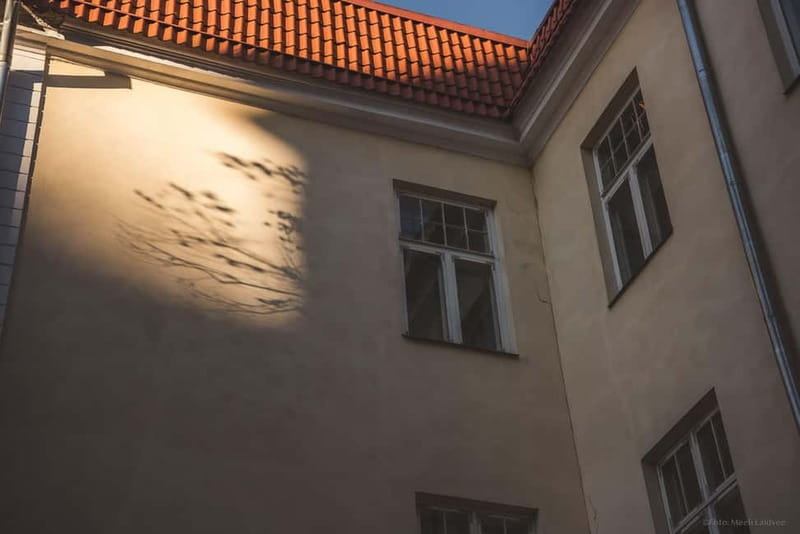 Tallinn: Old Town Ghost Tour - Key points before you book