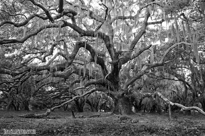 The Blackest Ghost Tour: Ages 17 and Above - Why this French Quarter ghost walk feels different