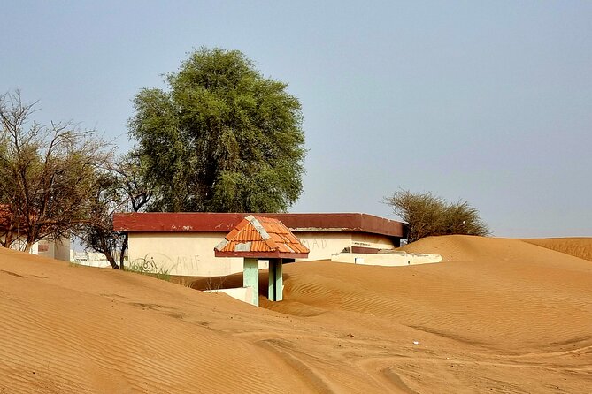 The Ghost Village Safari Tour with Dune Bashing and Sandboarding - The camel ride is a quick extra
