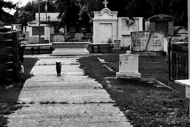 The Spirit Ghost Walking Tour - Cedar Rest Cemetery and the tour’s best setting