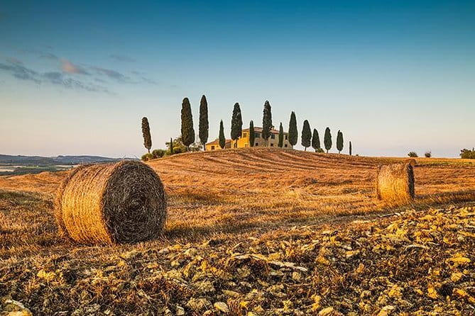 Tipsy Tour: Guided Bar Crawl In Florence with Dark History - What the included drinks are worth