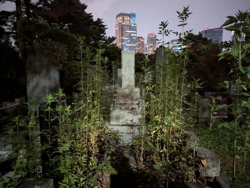 Tokyo: True Crime And Ghost Stories Tour - Why John matters so much