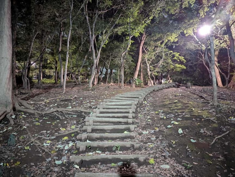 Tokyo: True Crime And Ghost Stories Tour - My call: book it for the guide and the subject