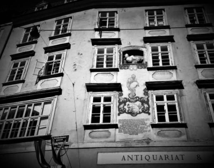 Vienna: Spooky Ghost Tour in English - Key points to know before you go