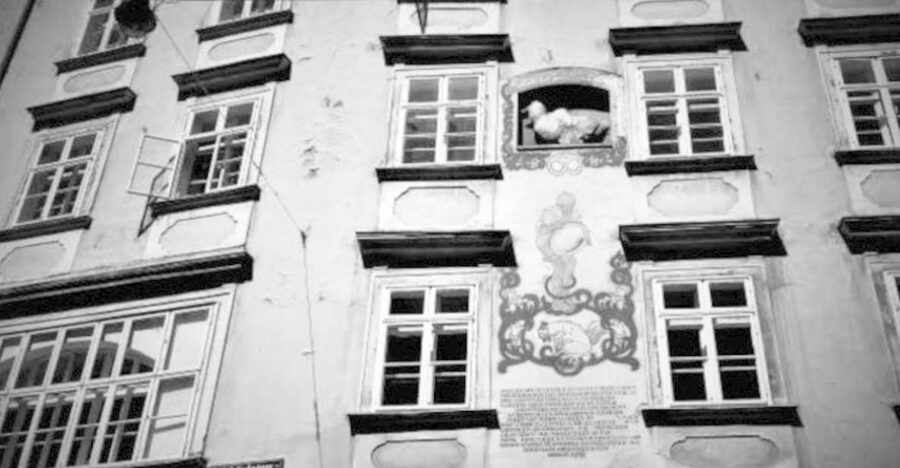 Vienna: Spooky Ghost Tour in English - The historic center after dark
