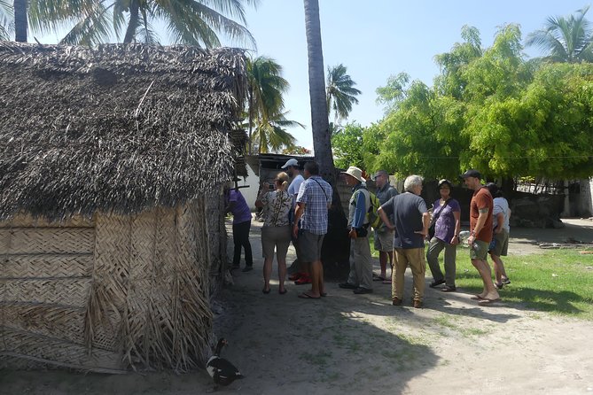 Village Tour With Witch Doctor Visit - Visiting the traditional healer