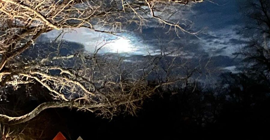 Williamsburg: Dead of Night Paranormal investigations Tour - Using the paranormal equipment
