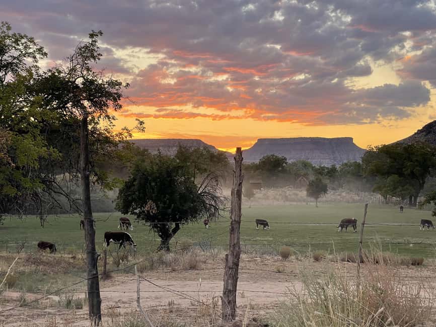 Zion: Harry Potter-Inspired Zion Ghost Tour with Sunset View - Is $93 a good value?